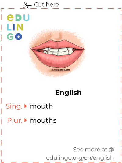 Mouth in English vocabulary flashcard for printing, practicing and learning