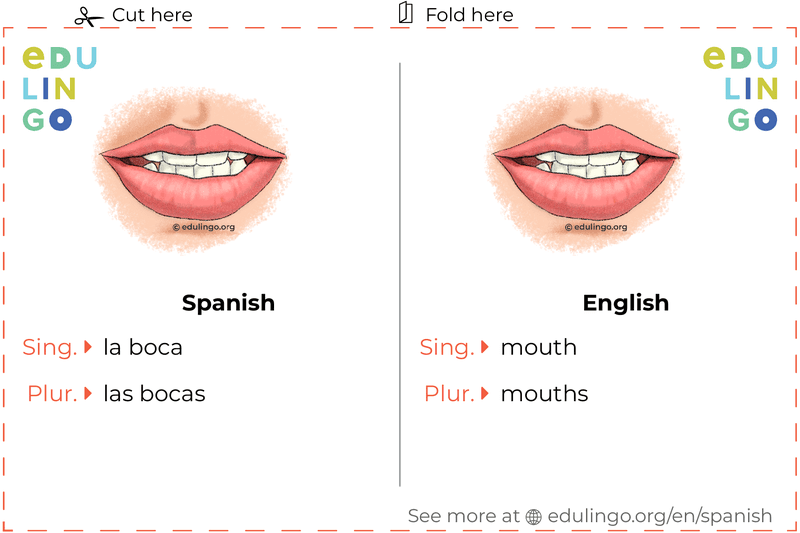 Mouth in Spanish vocabulary flashcard for printing, practicing and learning