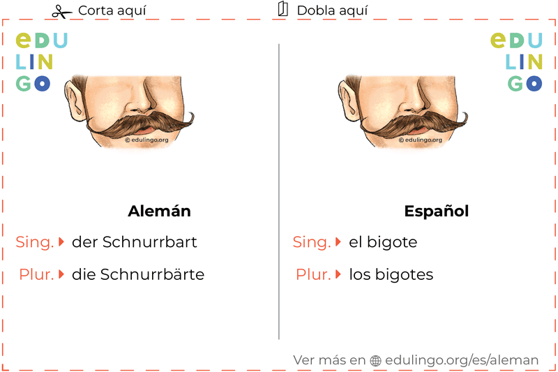 Ficha de Vocabulario Bigote en alemán para imprimir, practicar y aprender