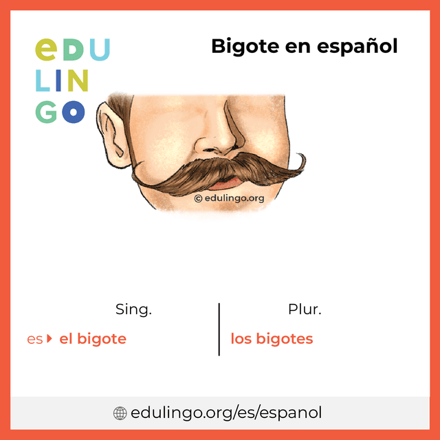 Imagen de vocabulario Bigote en español con singular y plural para descargar e imprimir