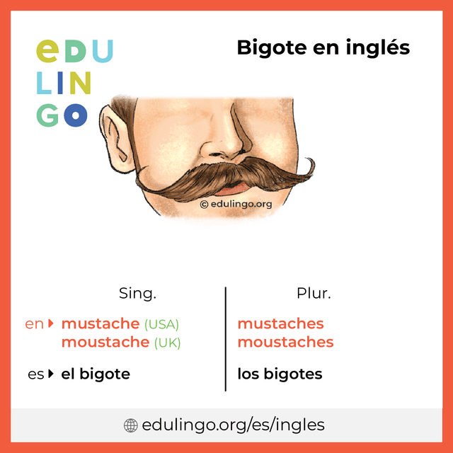 Imagen de vocabulario Bigote en inglés con singular y plural para descargar e imprimir