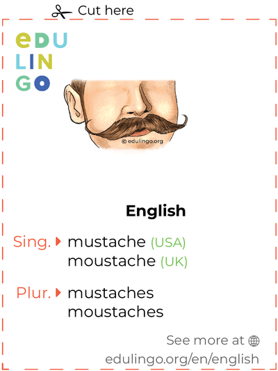 Mustache in English vocabulary flashcard for printing, practicing and learning