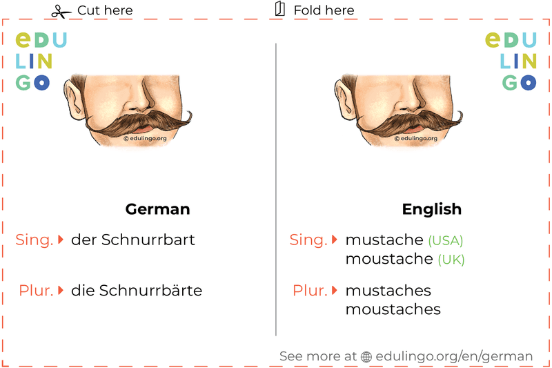 Mustache in German vocabulary flashcard for printing, practicing and learning
