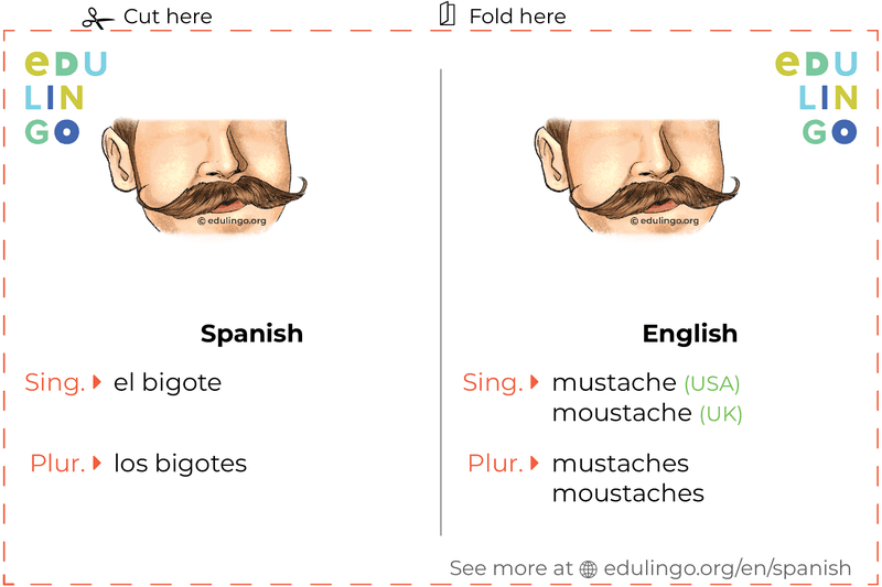 Mustache in Spanish vocabulary flashcard for printing, practicing and learning
