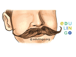 Thumbnail: Mustache in English