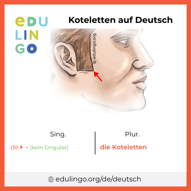Koteletten auf Deutsch Vokabelbild mit Singular und Plural zum Herunterladen und Ausdrucken