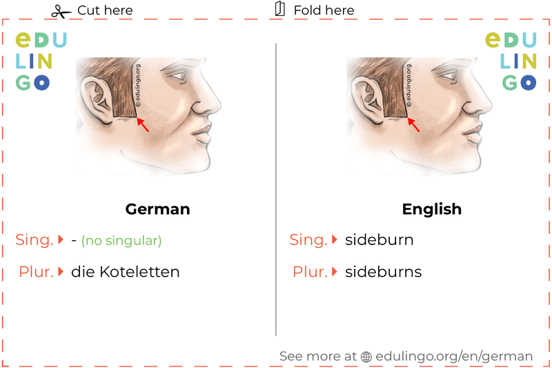 Sideburn in German vocabulary flashcard for printing, practicing and learning