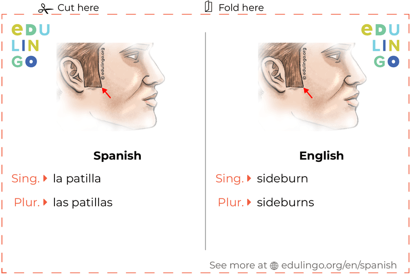 Sideburn in Spanish vocabulary flashcard for printing, practicing and learning