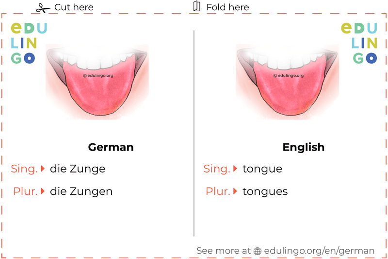 Tongue in German vocabulary flashcard for printing, practicing and learning
