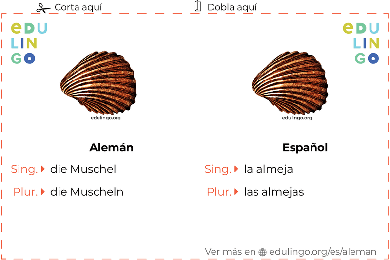 Ficha de Vocabulario Almeja en alemán para imprimir, practicar y aprender