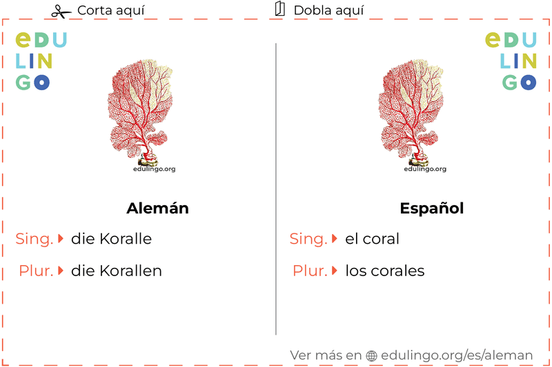 Ficha de Vocabulario Coral en alemán para imprimir, practicar y aprender