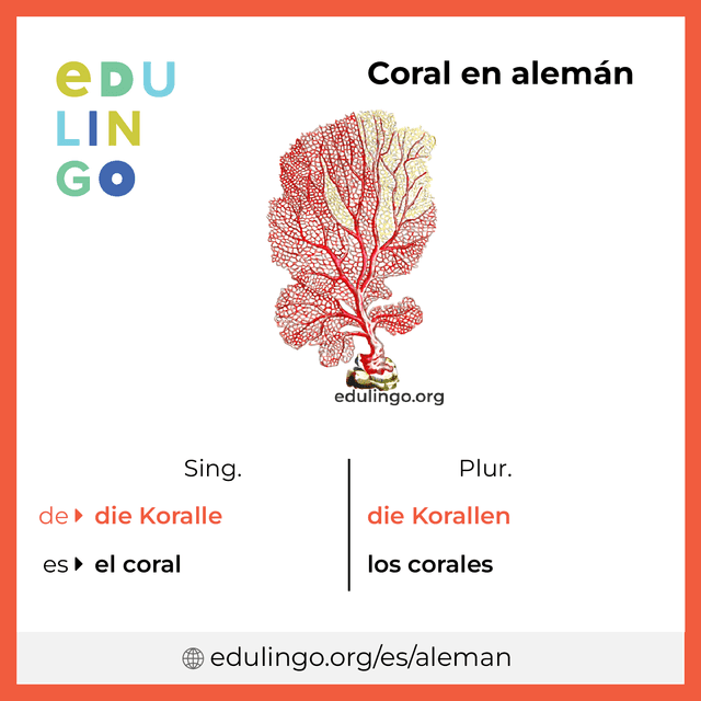 Imagen de vocabulario Coral en alemán con singular y plural para descargar e imprimir