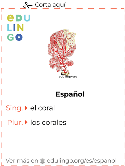 Ficha de Vocabulario Coral en español para imprimir, practicar y aprender