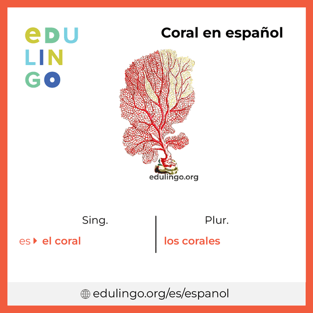 Imagen de vocabulario Coral en español con singular y plural para descargar e imprimir