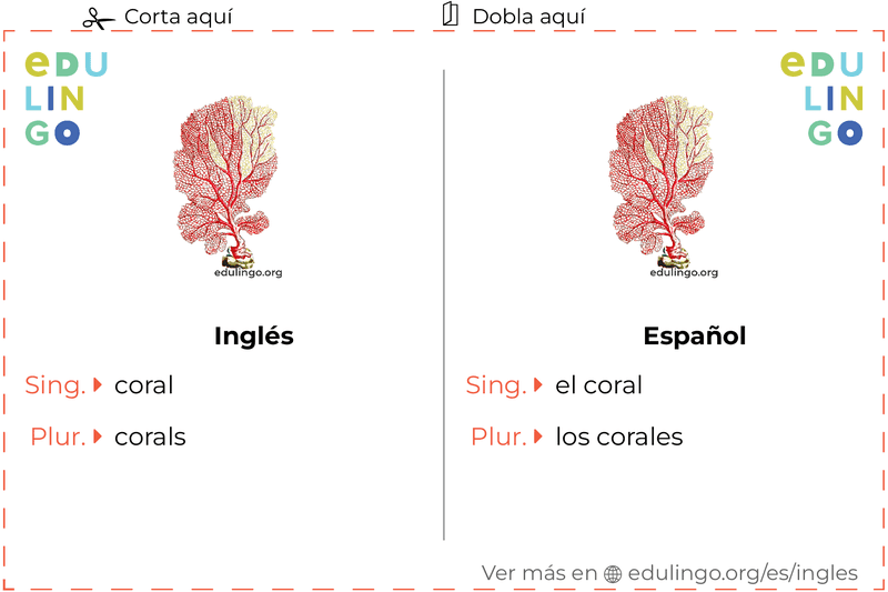 Ficha de Vocabulario Coral en inglés para imprimir, practicar y aprender