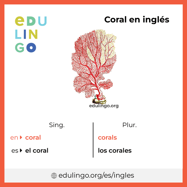 Imagen de vocabulario Coral en inglés con singular y plural para descargar e imprimir