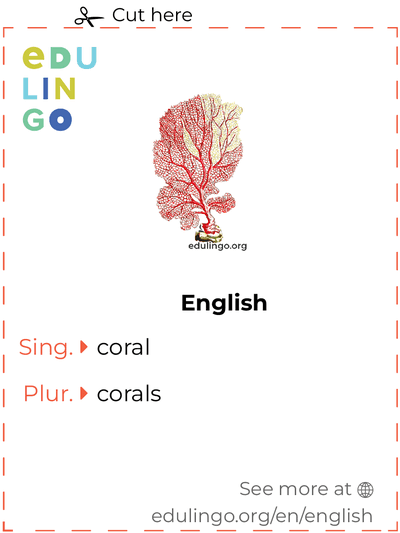 Coral in English vocabulary flashcard for printing, practicing and learning