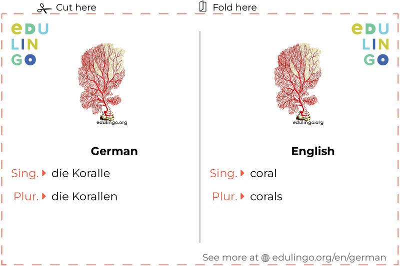 Coral in German vocabulary flashcard for printing, practicing and learning
