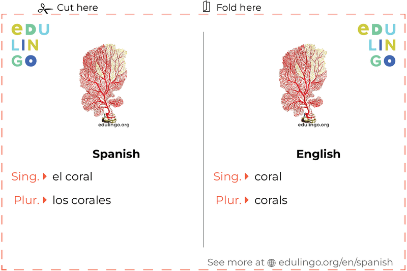 Coral in Spanish vocabulary flashcard for printing, practicing and learning