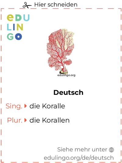 Koralle auf Deutsch Vokabelkartei zum Ausdrucken, Üben und Lernen