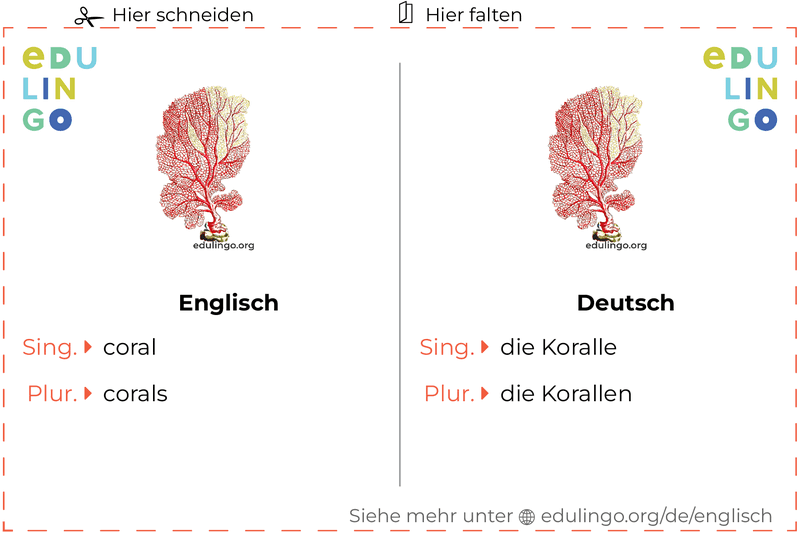 Koralle auf Englisch Vokabelkartei zum Ausdrucken, Üben und Lernen