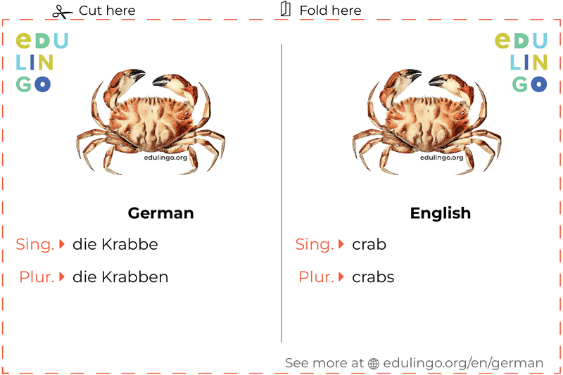 Crab in German vocabulary flashcard for printing, practicing and learning