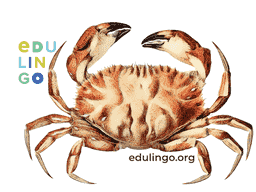 Thumbnail: Crab in English