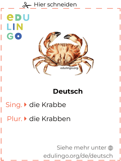 Krabbe auf Deutsch Vokabelkartei zum Ausdrucken, Üben und Lernen