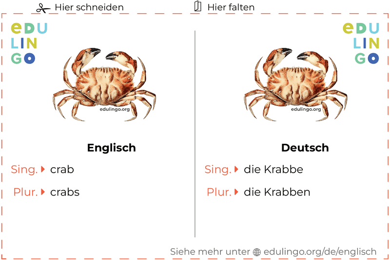 Krabbe auf Englisch Vokabelkartei zum Ausdrucken, Üben und Lernen