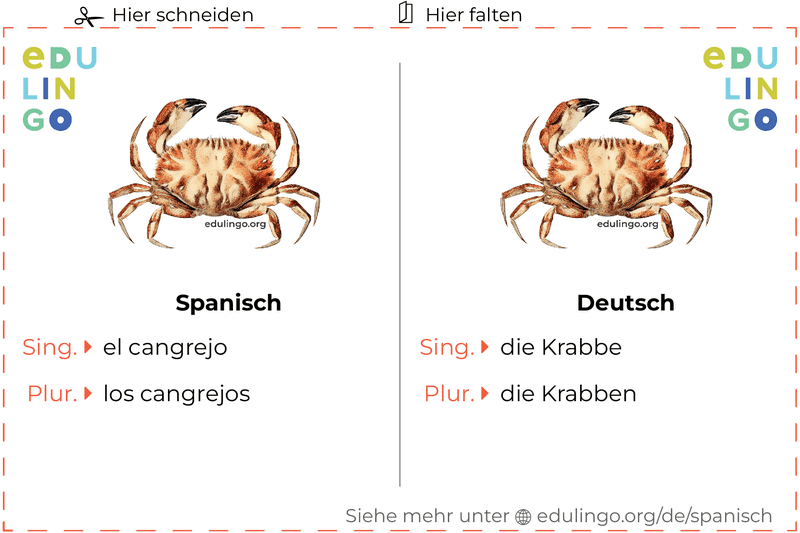 Krabbe auf Spanisch Vokabelkartei zum Ausdrucken, Üben und Lernen
