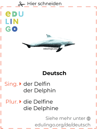 Delfin auf Deutsch Vokabelkartei zum Ausdrucken, Üben und Lernen