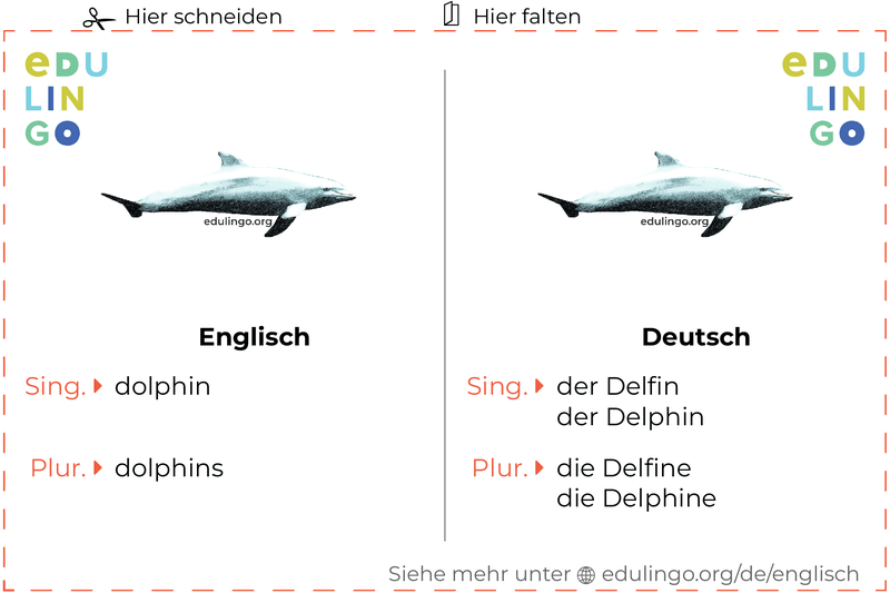 Delfin auf Englisch Vokabelkartei zum Ausdrucken, Üben und Lernen