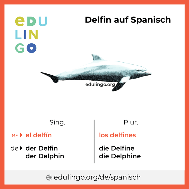 Delfin auf Spanisch Vokabelbild mit Singular und Plural zum Herunterladen und Ausdrucken
