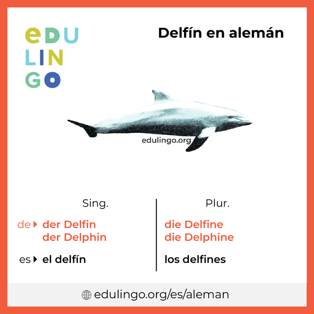 Imagen de vocabulario Delfín en alemán con singular y plural para descargar e imprimir
