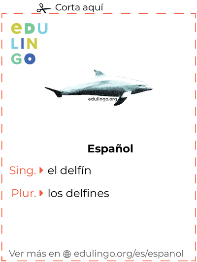 Ficha de Vocabulario Delfín en español para imprimir, practicar y aprender