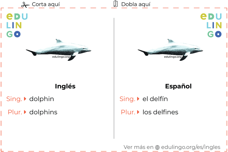 Ficha de Vocabulario Delfín en inglés para imprimir, practicar y aprender
