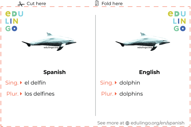 Dolphin in Spanish vocabulary flashcard for printing, practicing and learning