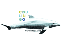 Thumbnail: Dolphin in English