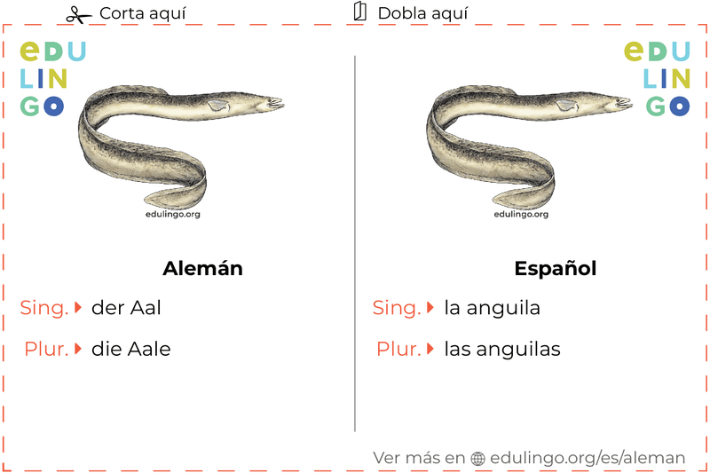 Ficha de Vocabulario Anguila en alemán para imprimir, practicar y aprender