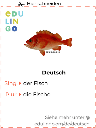 Fisch auf Deutsch Vokabelkartei zum Ausdrucken, Üben und Lernen