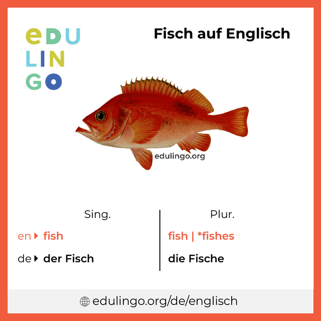 Fisch auf Englisch Vokabelbild mit Singular und Plural zum Herunterladen und Ausdrucken