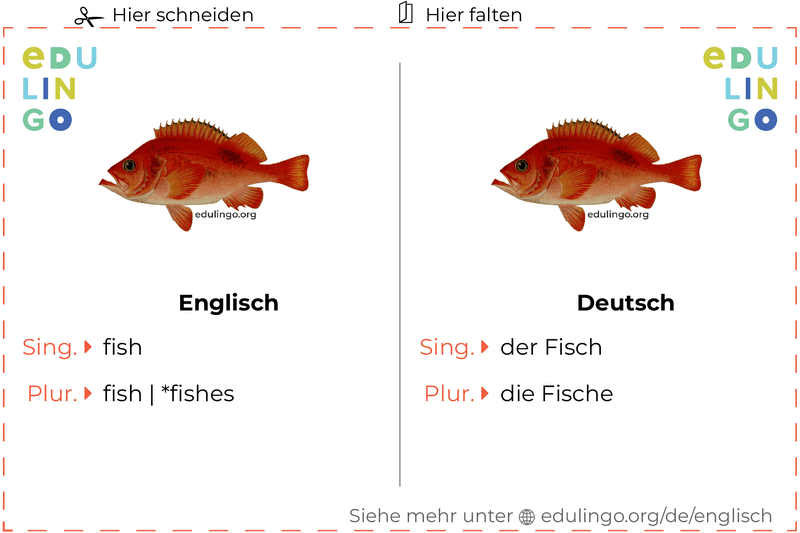 Fisch auf Englisch Vokabelkartei zum Ausdrucken, Üben und Lernen