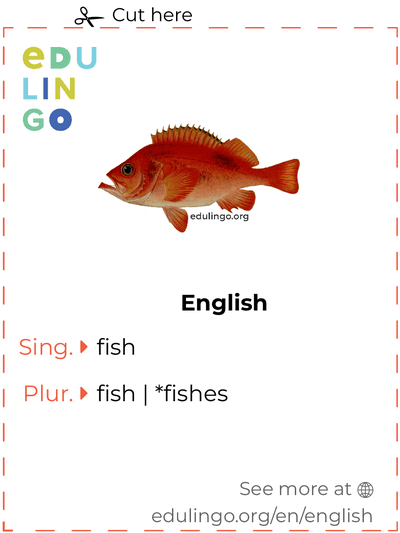 Fish in English vocabulary flashcard for printing, practicing and learning