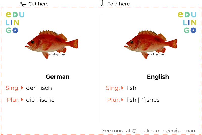 Fish in German vocabulary flashcard for printing, practicing and learning