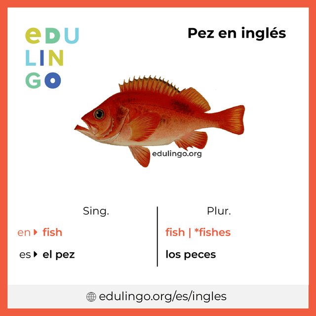 Imagen de vocabulario Pez en inglés con singular y plural para descargar e imprimir