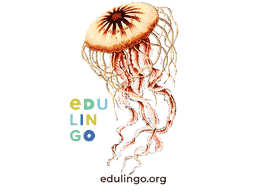 Thumbnail: Jellyfish in English
