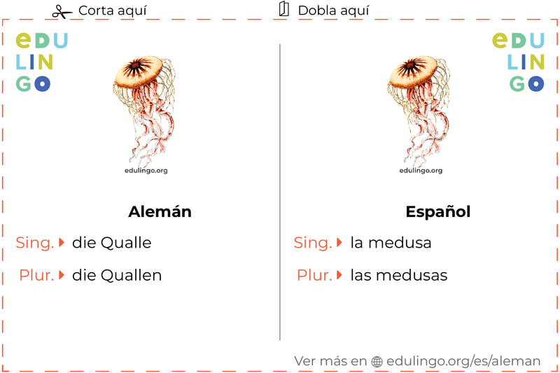 Ficha de Vocabulario Medusa en alemán para imprimir, practicar y aprender