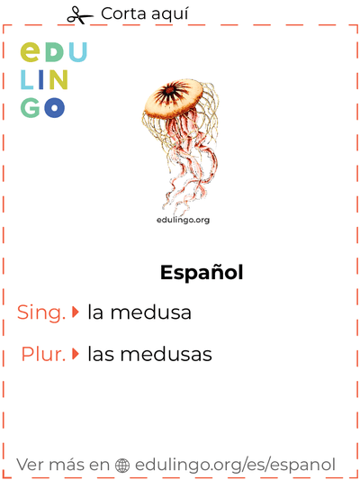 Ficha de Vocabulario Medusa en español para imprimir, practicar y aprender