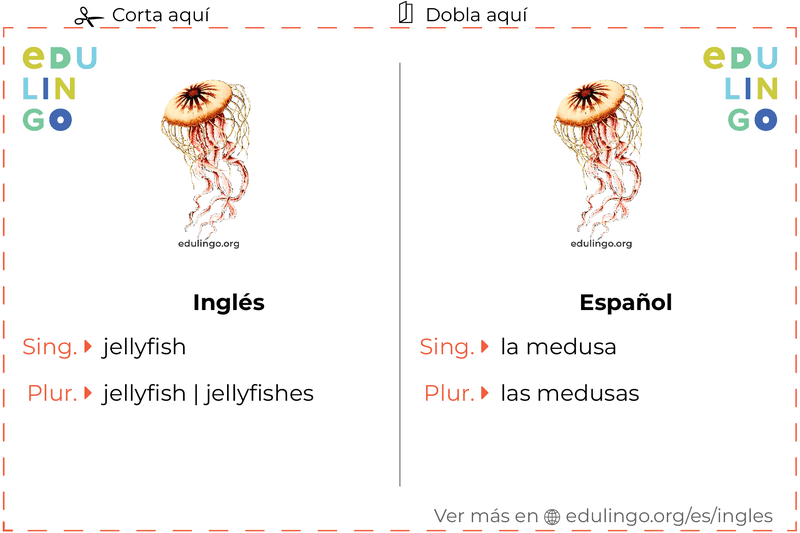 Ficha de Vocabulario Medusa en inglés para imprimir, practicar y aprender