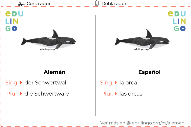 Ficha de Vocabulario Orca en alemán para imprimir, practicar y aprender